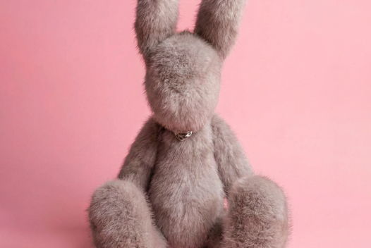 Тауп заяц Матис