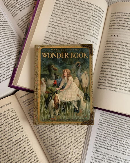 Блокнот - книжка "Wonder Book"