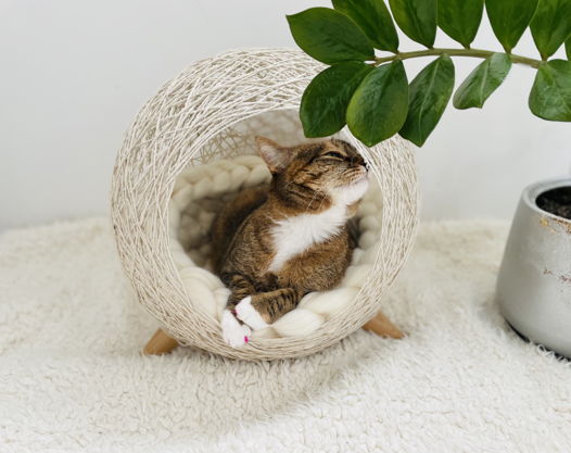Домик-гнездо плетеный для коше и вязанная подушка